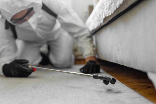 Professional Emergency Pest Control technician working in Scottsville, KY