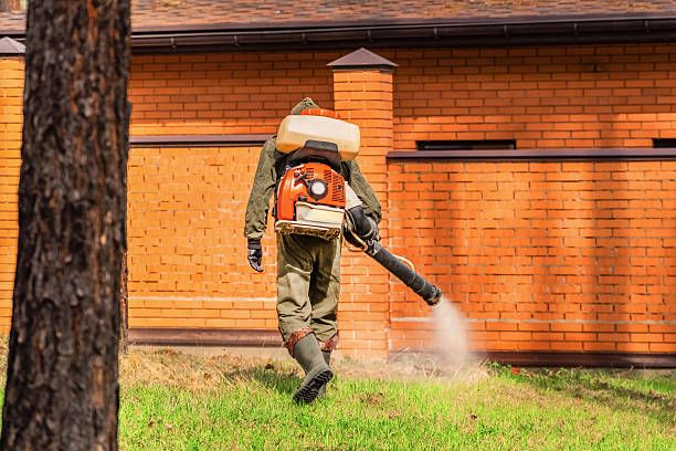 Trusted Termite Control service in Scottsville, KY - Nex Pest Control